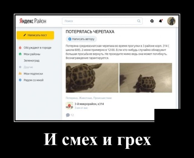 Демотиваторы 2019 года: смешные и свежие