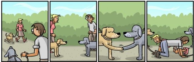 Мемы и приколы из параллельного мира (24 фото)