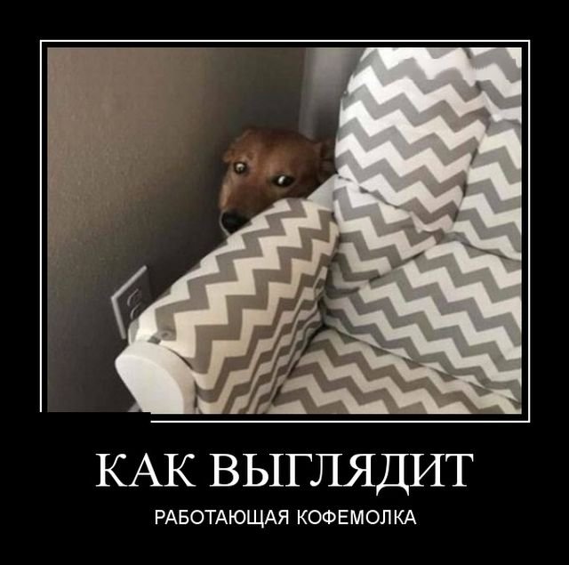 Прикольные новые демотиваторы (30 фото)