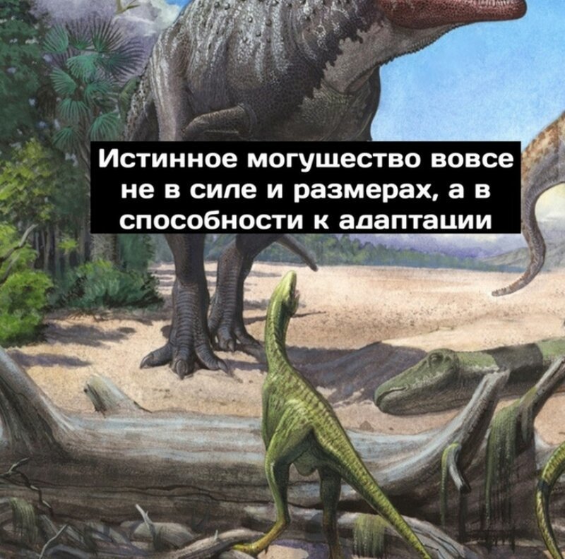 Комикс: Сингулярность, или Адаптировались, да?! (9 фото) Комикс: Сингулярность, или Адаптировались, да?! (9 фото)