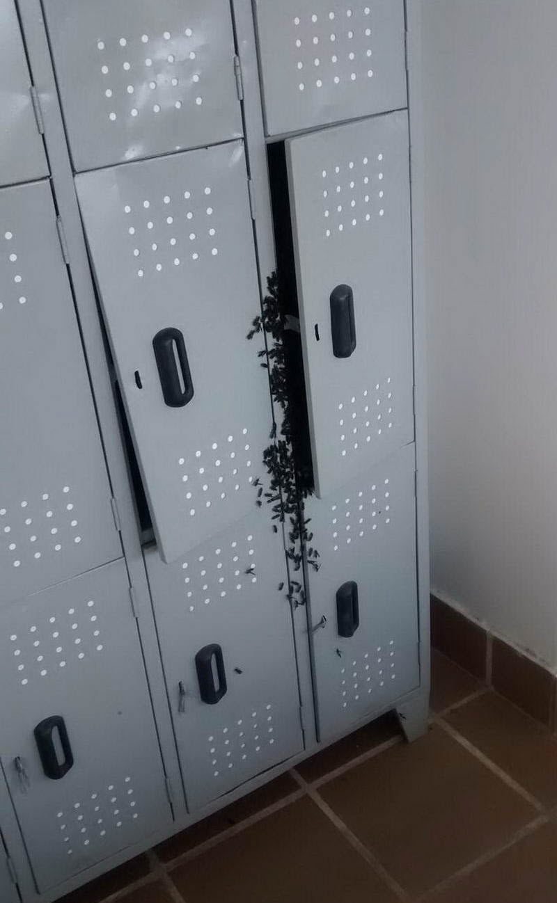 WTF: что тут происходит? (39 фото) WTF: что тут происходит? (39 фото)