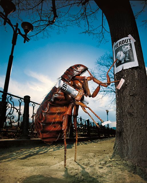 Мемы и приколы из параллельного мира (24 фото)