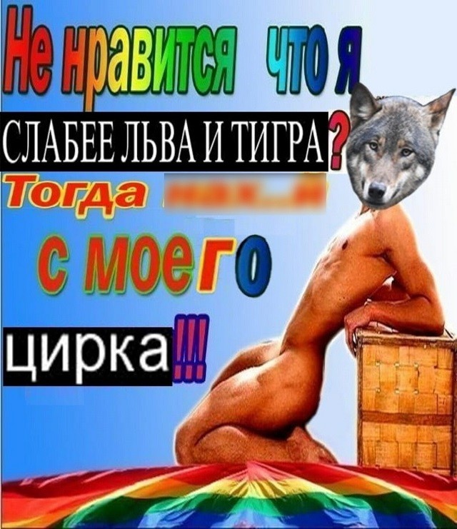 "Пацанская народная мудрость" и цитаты про волков (35 картинок) "Пацанская народная мудрость" и цитаты про волков (35 картинок)