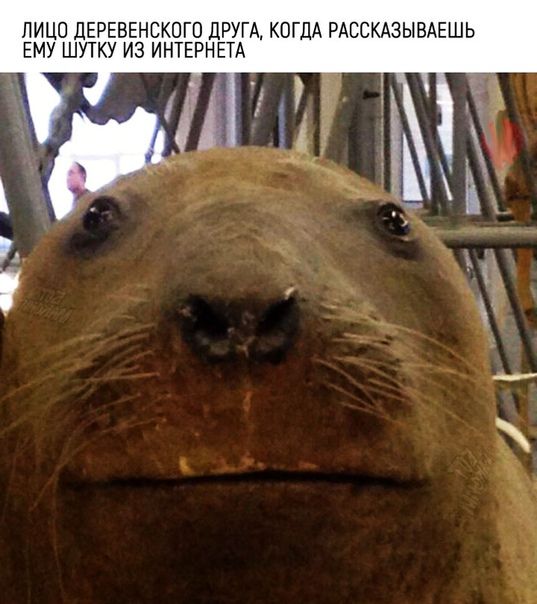 Смешные картинки, мемы и прочее (22 фото) Смешные картинки, мемы и прочее (22 фото)
