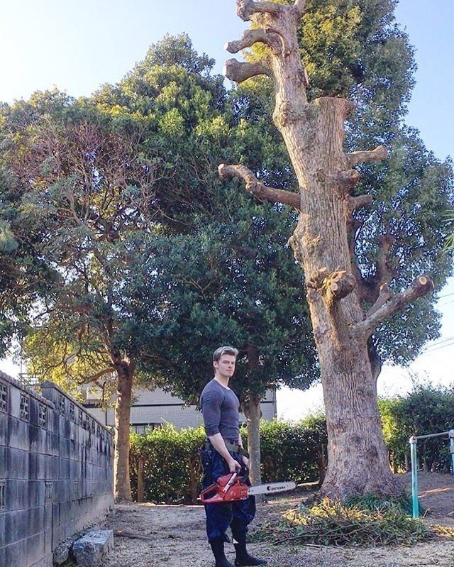 На пути к своей мечте: Тацумаса Мурасаме - слишком красивый шведский садовник, принявший гражданство Японии (13 фото)