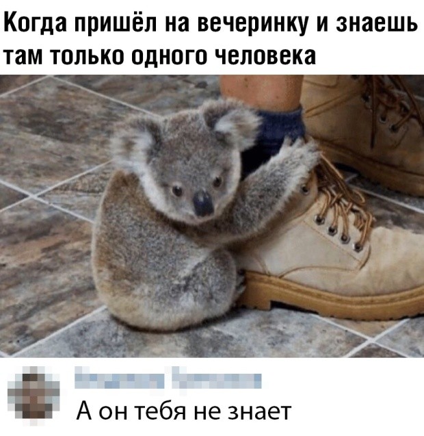 Немного шуток из социальных сетей (20 скриншотов)