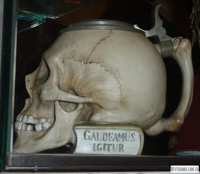 Если среди ваших друзей есть студент-медик, он будет без ума от такого подарка (4 фото) Если среди ваших друзей есть студент-медик, он будет без ума от такого подарка (4 фото)