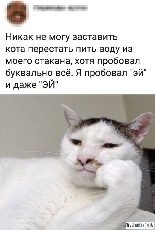 Юмор и комментарии из социальных сетей (20 фото)