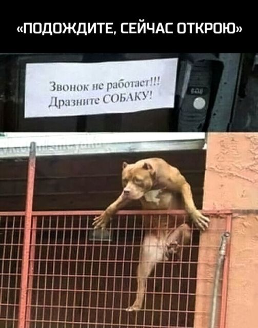 Смешные мемы, картинки и много другого юмора (20 фото)