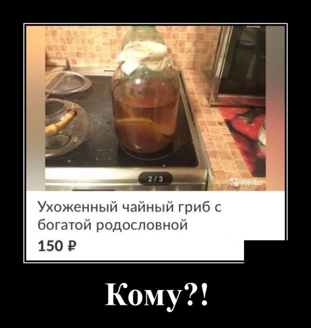 Демотиваторы 2019 года: смешные и свежие