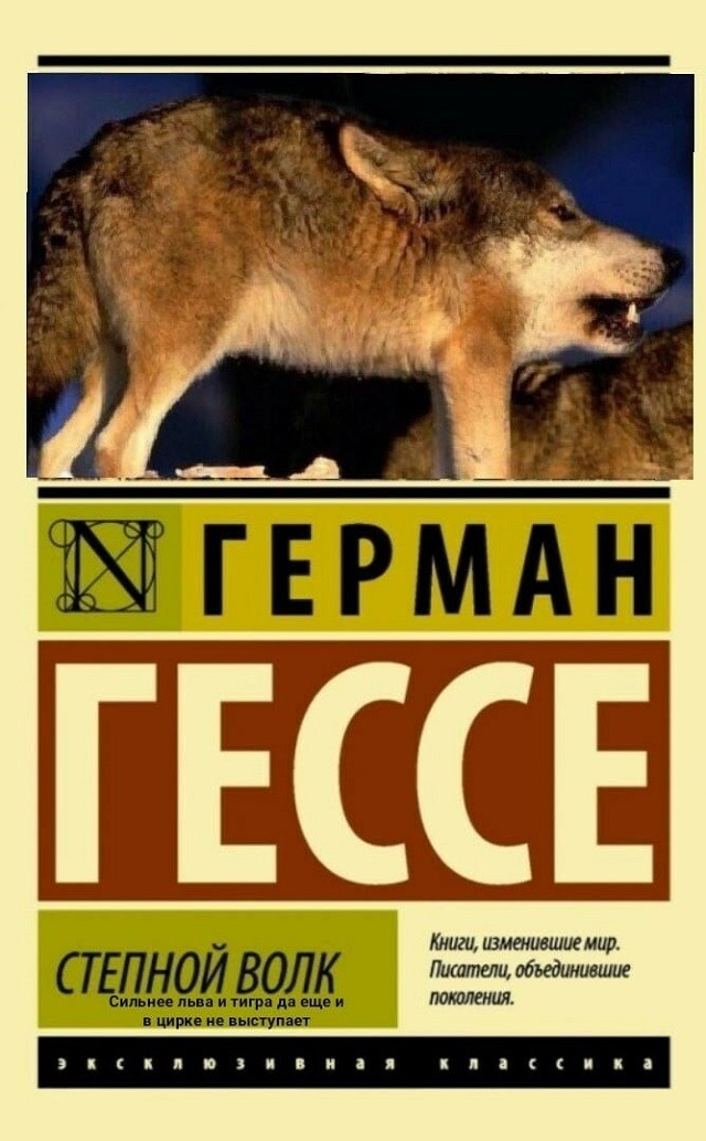 "Пацанская народная мудрость" и цитаты про волков (35 картинок) "Пацанская народная мудрость" и цитаты про волков (35 картинок)