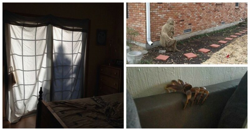 Чуть сердце не остановилось: 22 пугающие оптические иллюзии (23 фото) Чуть сердце не остановилось: 22 пугающие оптические иллюзии (23 фото)