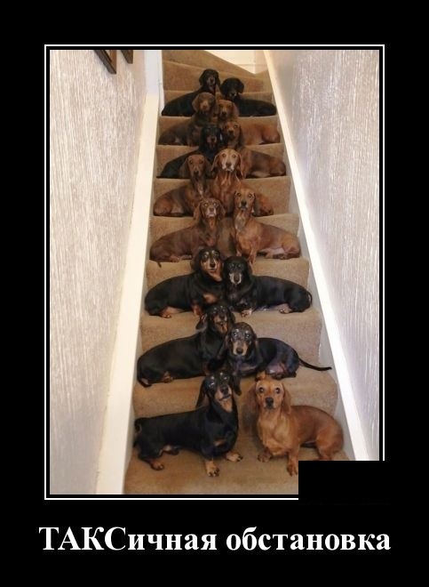 Новые юморные демотиваторы (30 демотиваторов)