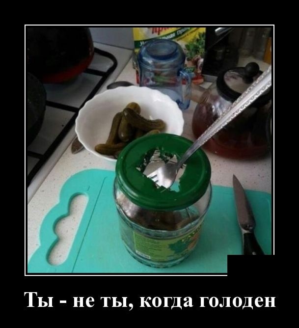 Демотиваторы 2175