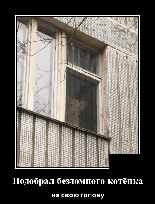 Июльские демотиваторы 2019 года - новое, смешное и свежее