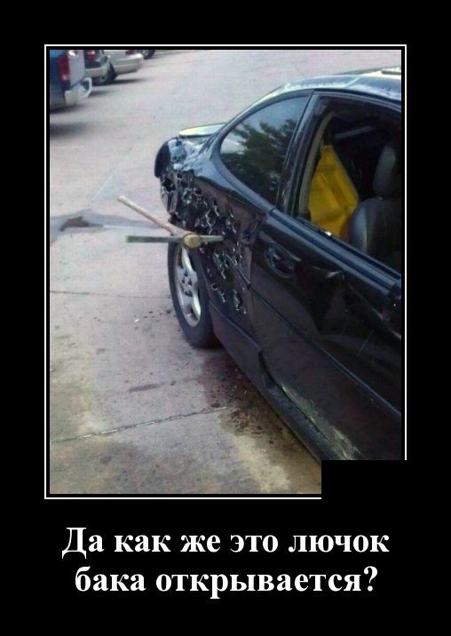 Демотиваторы 2175