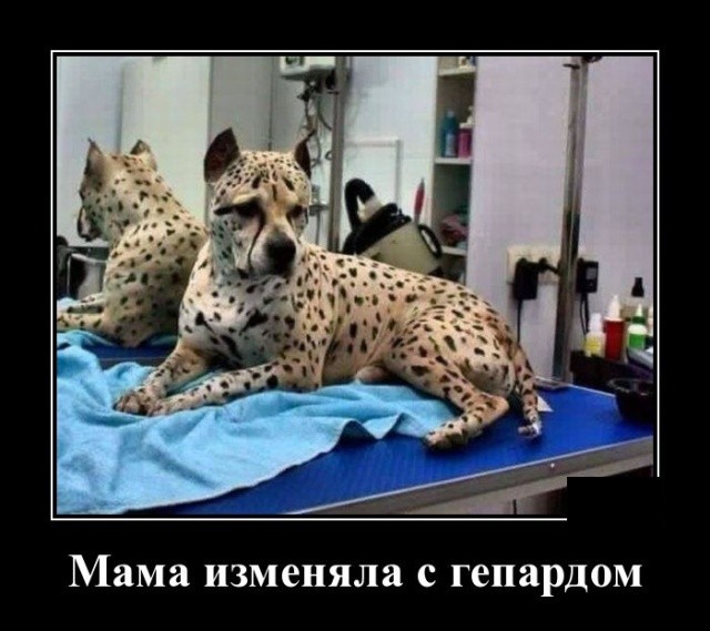 Новые юморные демотиваторы (30 демотиваторов)