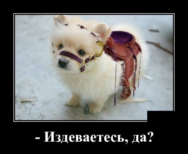 Новые юморные демотиваторы (30 демотиваторов)