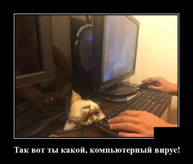 Свежие демотиваторы июля 2019 года про женщин, работу и другое Свежие демотиваторы июля 2019 года про женщин, работу и другое