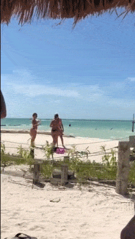 Кажется, парни попали (13 гифок)