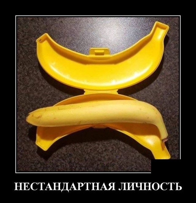 Новые демотиваторы про котов, девушек и идиотов Новые демотиваторы про котов, девушек и идиотов