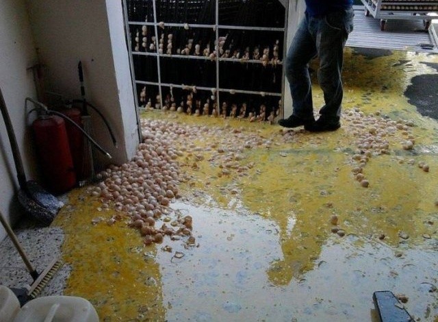 Понедельник, это ты? (4 фото)