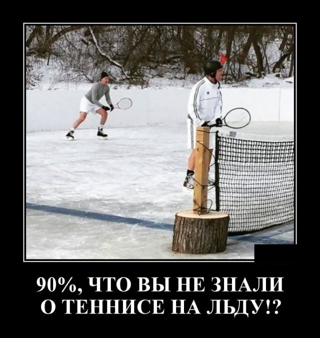 Новые демотиваторы про котов, девушек и идиотов Новые демотиваторы про котов, девушек и идиотов