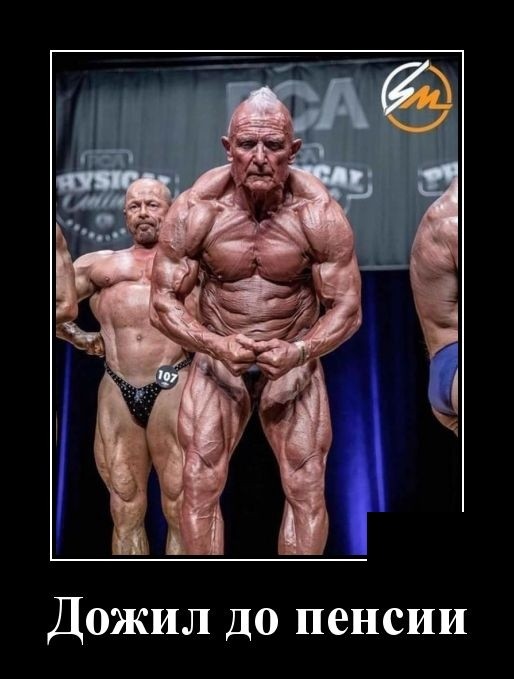 Демотиваторы 2175