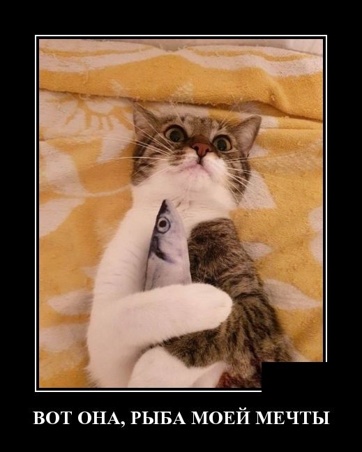 Подборка прикольных демотиваторов про нашу жизнь