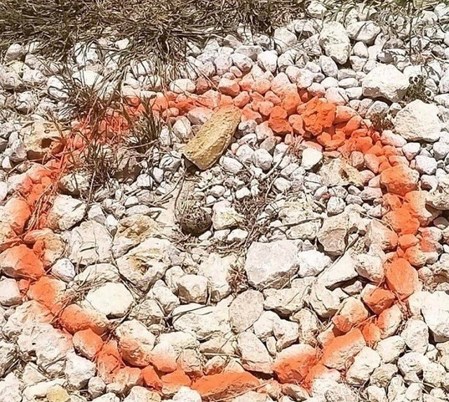 Пост о вежливых и заботливых людях (17 фото)