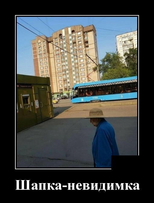Новые демотиваторы про котов, девушек и идиотов Новые демотиваторы про котов, девушек и идиотов