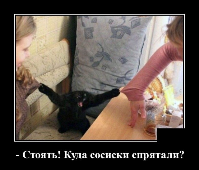 Демотиваторы 2175