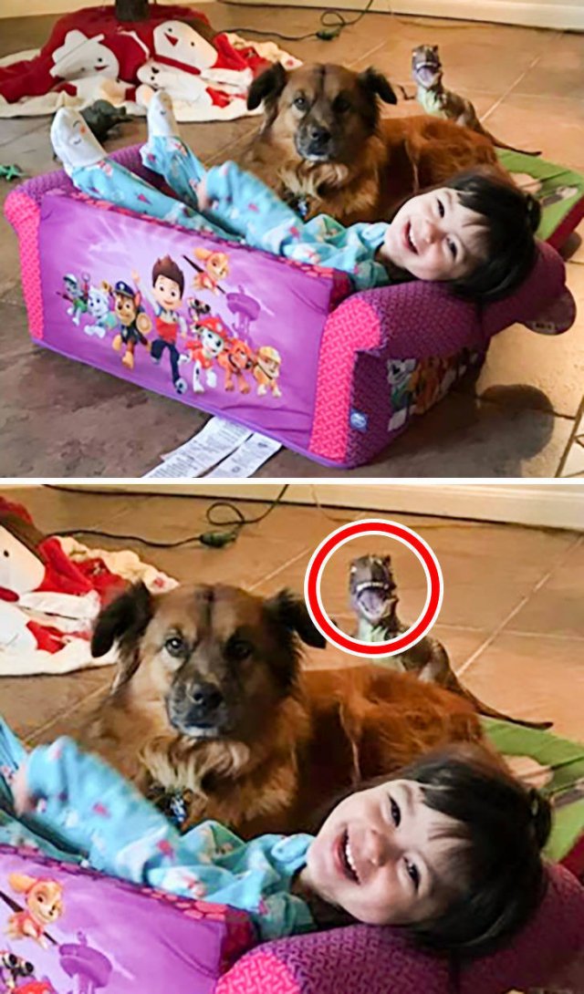 Мастера портить фотографии (15 фото)