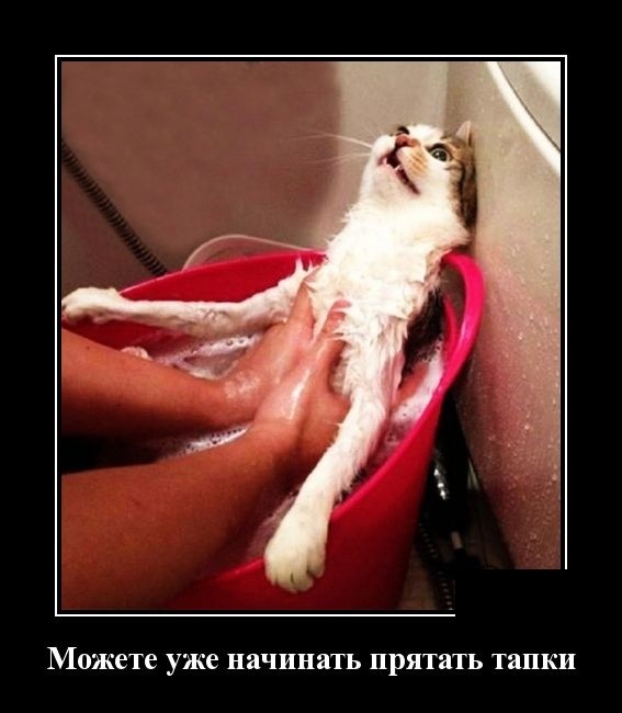 Июльские демотиваторы 2019 года - новое, смешное и свежее