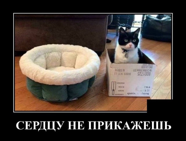 Подборка прикольных демотиваторов про нашу жизнь