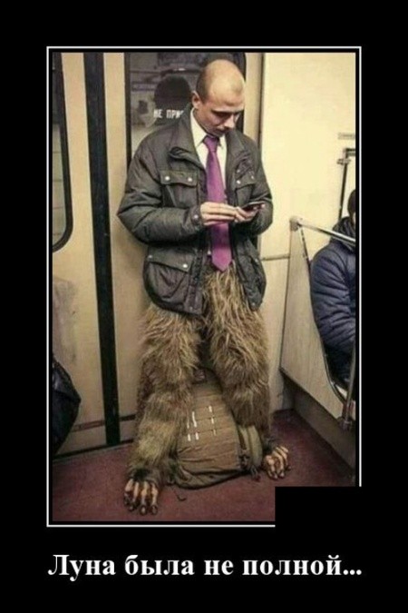 Подборка прикольных демотиваторов про нашу жизнь