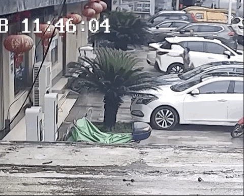 Отцовские рефлексы (14 гифок)