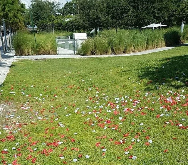 Когда плевать на всех (25 фото) Когда плевать на всех (25 фото)