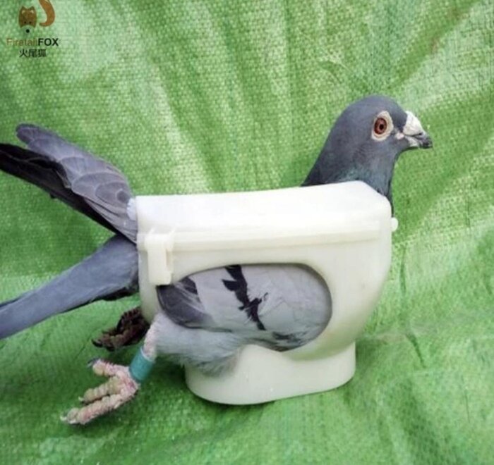 Самые упоротые новинки из Китая, от вида которых появляется легкое недоумение (21 фото) Самые упоротые новинки из Китая, от вида которых появляется легкое недоумение (21 фото)