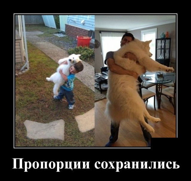 Подборка прикольных демотиваторов про нашу жизнь