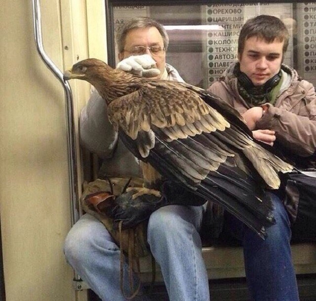 Чего только не увидишь в метро (17 фото) Чего только не увидишь в метро (17 фото)