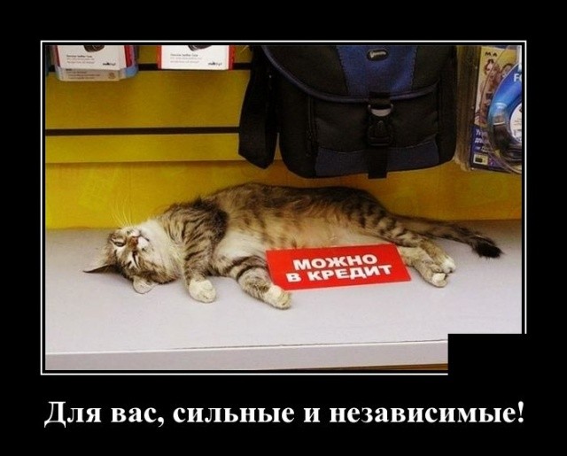 Демотиваторы 2175