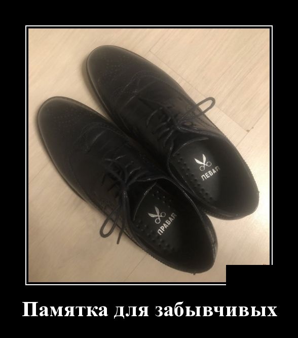 Новые демотиваторы про котов, девушек и идиотов Новые демотиваторы про котов, девушек и идиотов