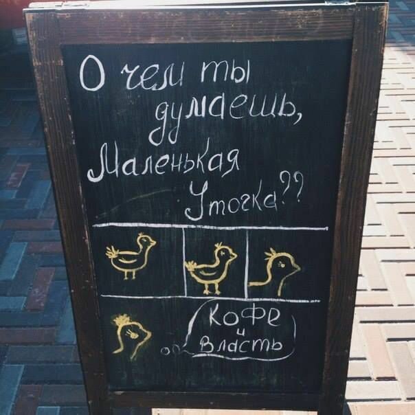 25 забавных и оригинальных надписей на штендерах, которые невозможно игнорировать (26 фото)