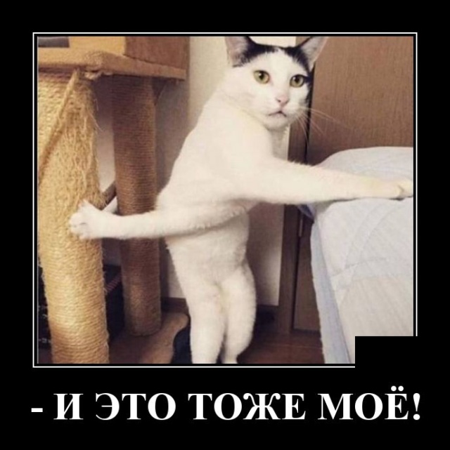 Свежие демотиваторы июля 2019 года про женщин, работу и другое Свежие демотиваторы июля 2019 года про женщин, работу и другое