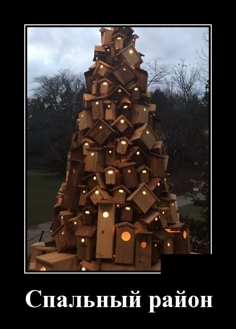 Демотиваторы 2175