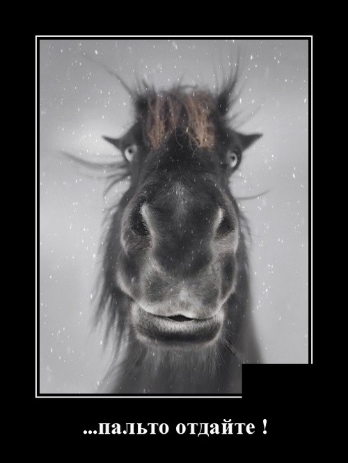 Новые юморные демотиваторы (30 демотиваторов)