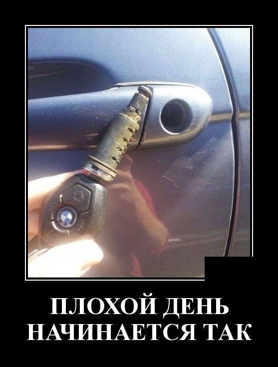 Новые демотиваторы про котов, девушек и идиотов Новые демотиваторы про котов, девушек и идиотов