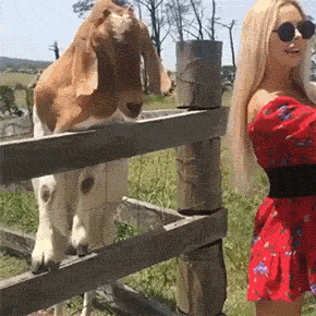 Фейлы в исполнении девушек (16 гифок)