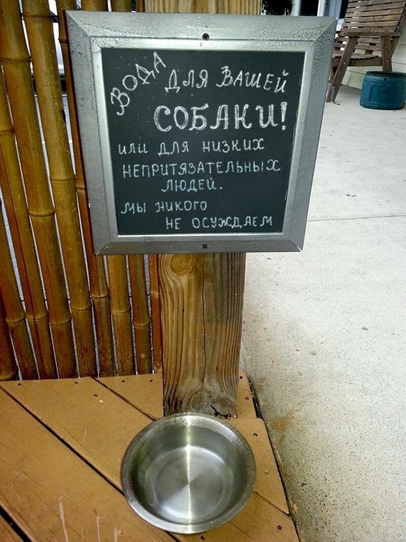 25 забавных и оригинальных надписей на штендерах, которые невозможно игнорировать (26 фото)